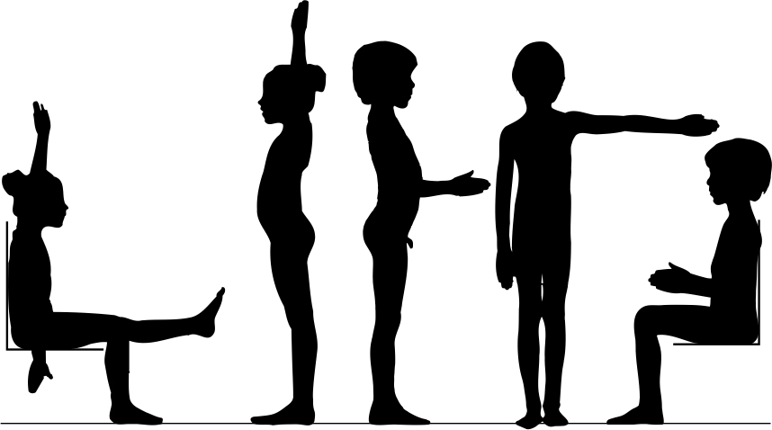 Dane zostały zaprezentowane w postaci sylwet uzyskanych według efektu teatru cieni. Wykonano kilkaset fotografii dzieci, które posłużyły do kompozycji plansz wizualizujących dzieci w różnych pozycjach niezbędnych dla identyfikacji poszczególnych cech antropometrycznych.