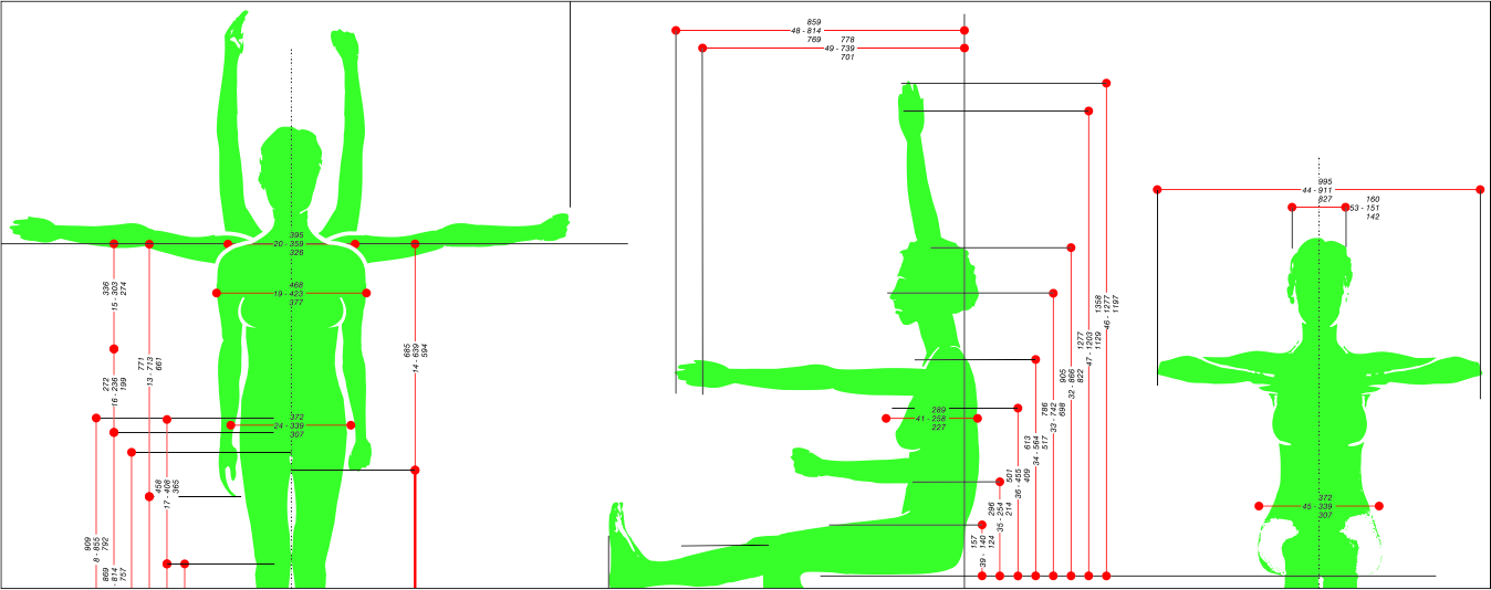 Dane zostały zaprezentowane w postaci sylwet uzyskanych według efektu teatru cieni. Wykonano kilkaset fotografii dzieci, które posłużyły do kompozycji plansz wizualizujących dzieci w różnych pozycjach niezbędnych dla identyfikacji poszczególnych cech antropometrycznych. 3