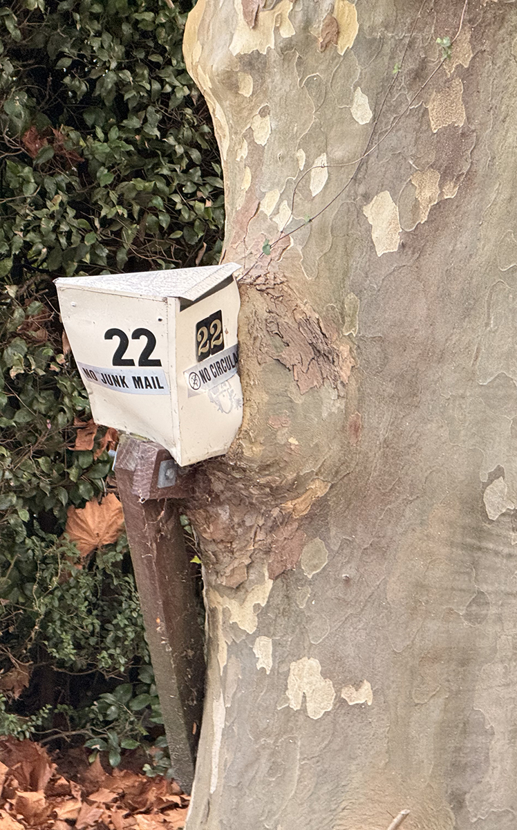 skrzynka pocztowa 99