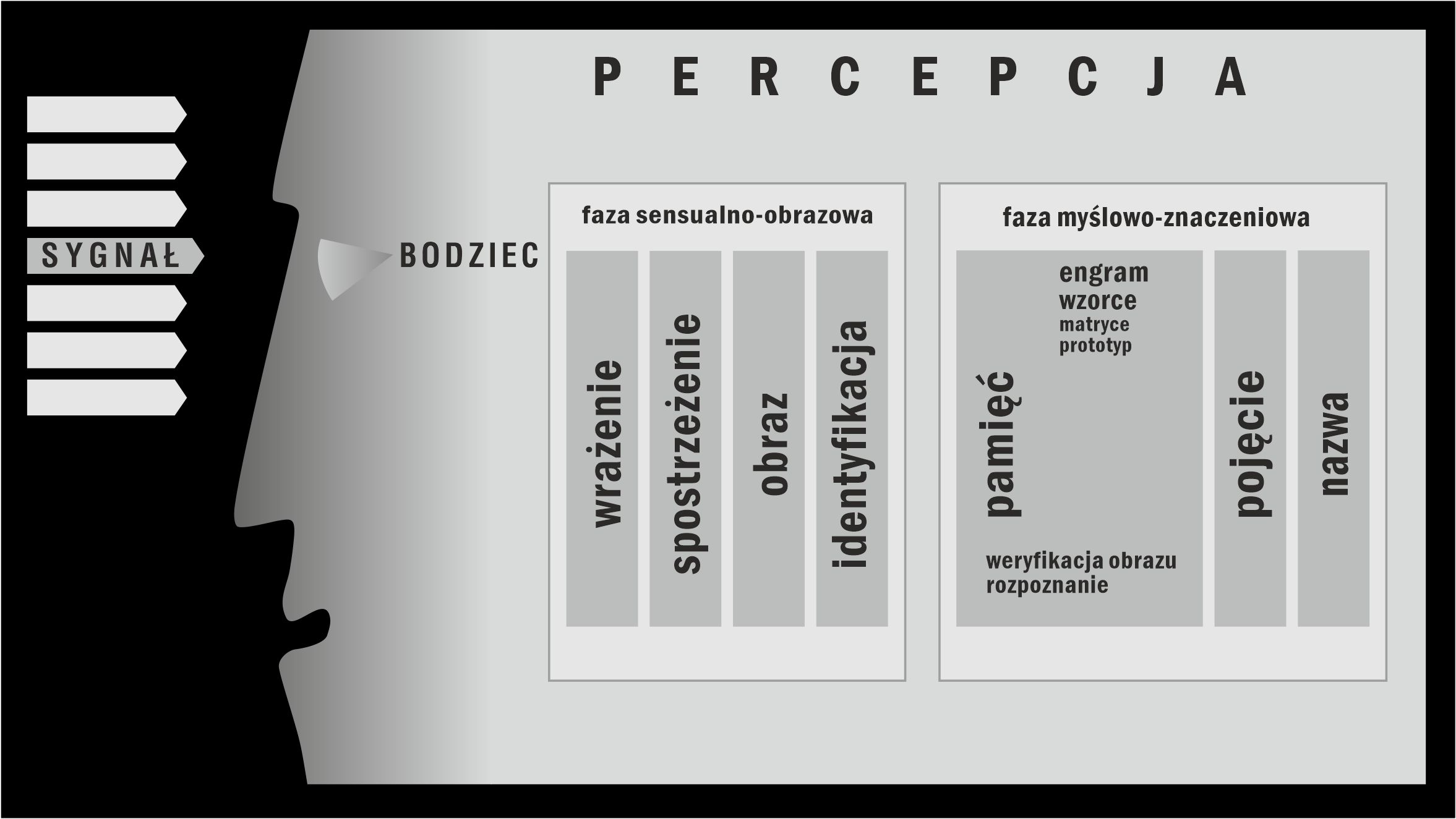 percepcja